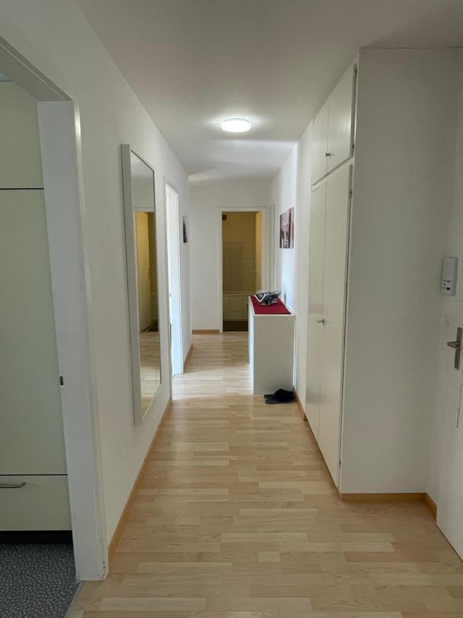 3-Room Apartment For Business Travelers & Families, Free Wifi & Tv With 70 Countries, Dazn, Sky, Netflix & Disney Wynau Екстер'єр фото