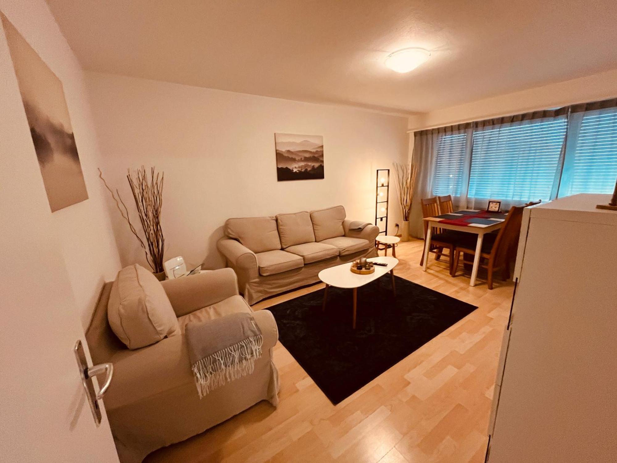 3-Room Apartment For Business Travelers & Families, Free Wifi & Tv With 70 Countries, Dazn, Sky, Netflix & Disney Wynau Екстер'єр фото