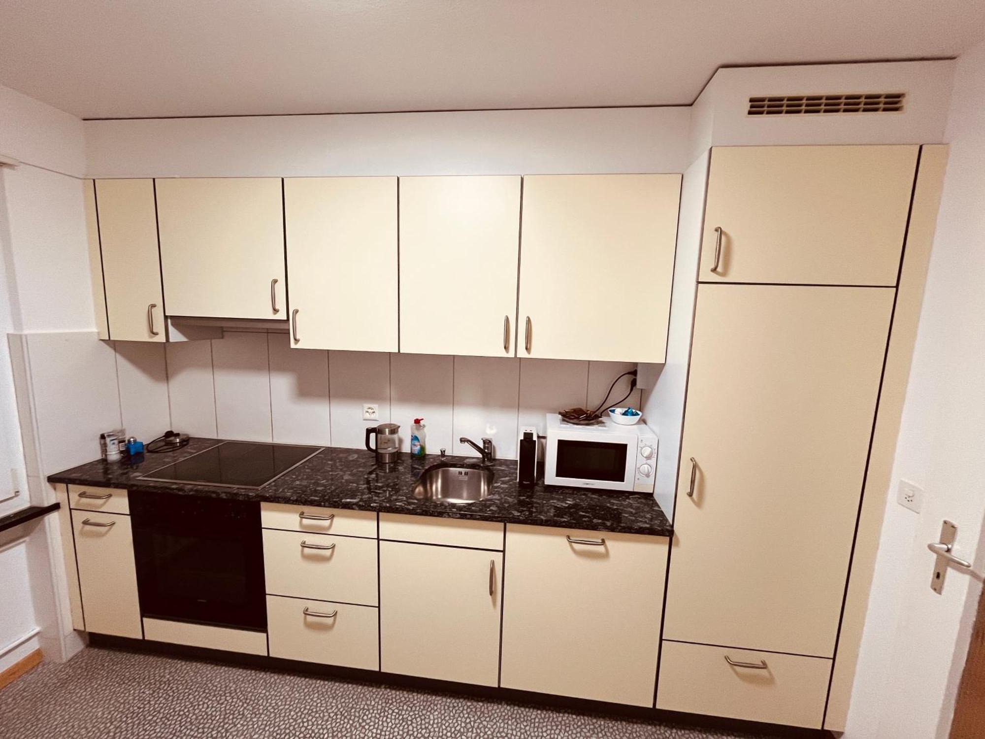 3-Room Apartment For Business Travelers & Families, Free Wifi & Tv With 70 Countries, Dazn, Sky, Netflix & Disney Wynau Екстер'єр фото
